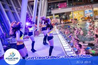 /album/silvestrovska-jungle-show/bomby-4-jpg/